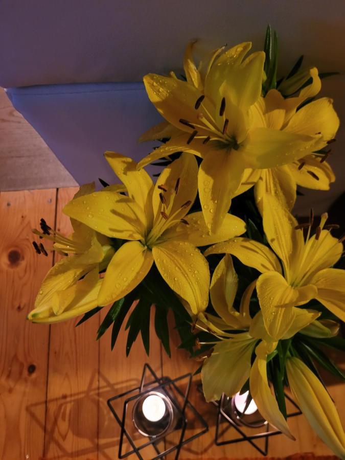 ילנייה גורה Apartament Lilla מראה חיצוני תמונה