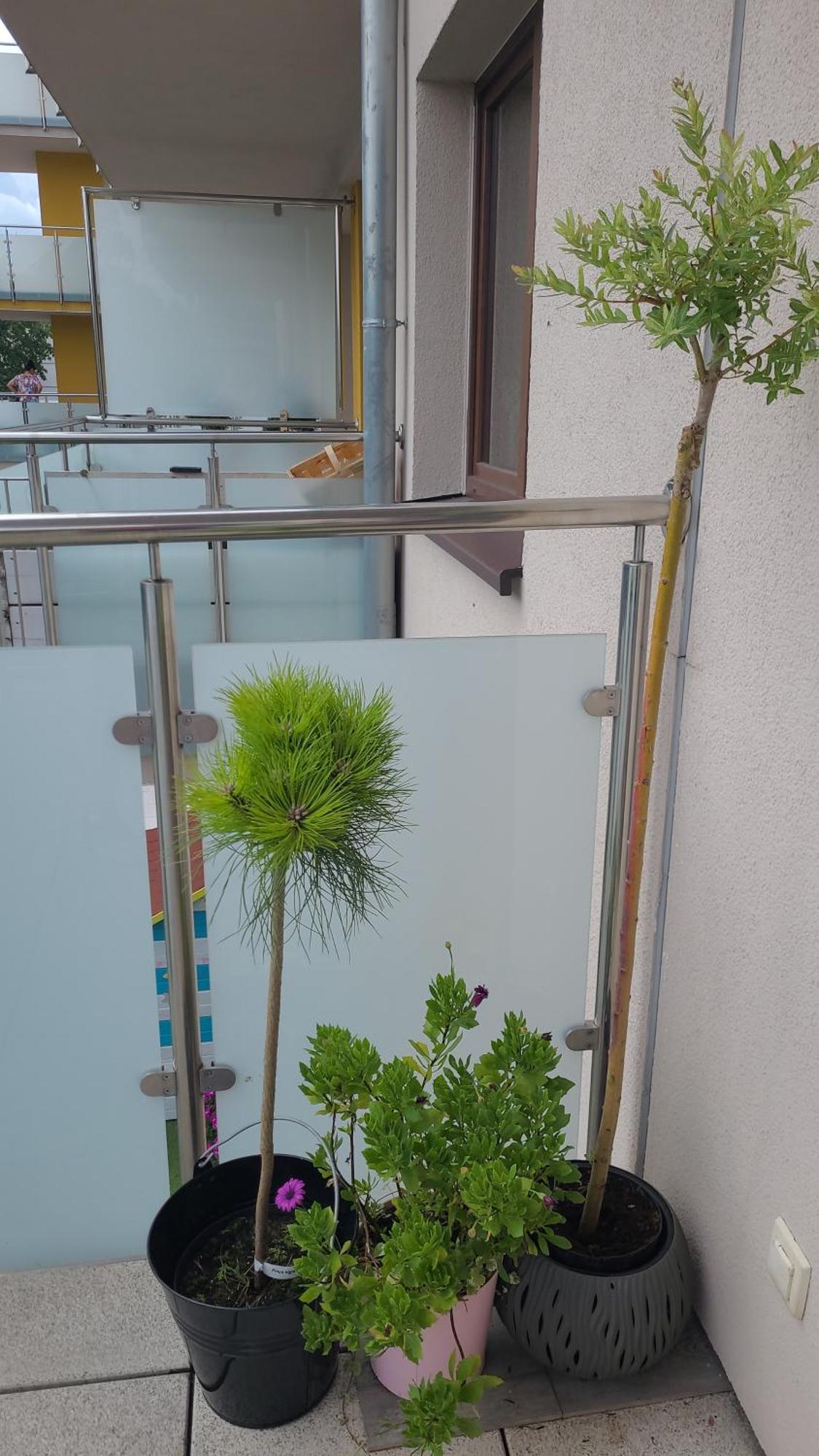 ילנייה גורה Apartament Lilla מראה חיצוני תמונה